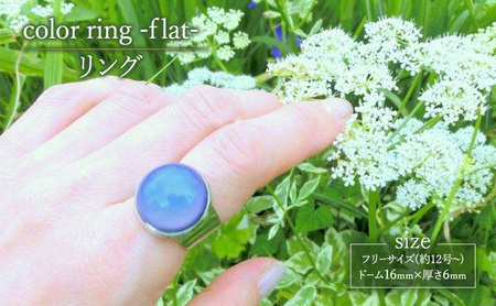 color ring -flat- リング 指輪 アクセサリー 1個 [Q]handmadejewely【シンプル  グラデーション スカイブルー グリーン イエロー パープル ピンク 可愛い ハンドメイド ジュエリー 手作り  職人 上品 大人な雰囲気 ギフト プレゼント ラッピング 結婚式 普段使い】