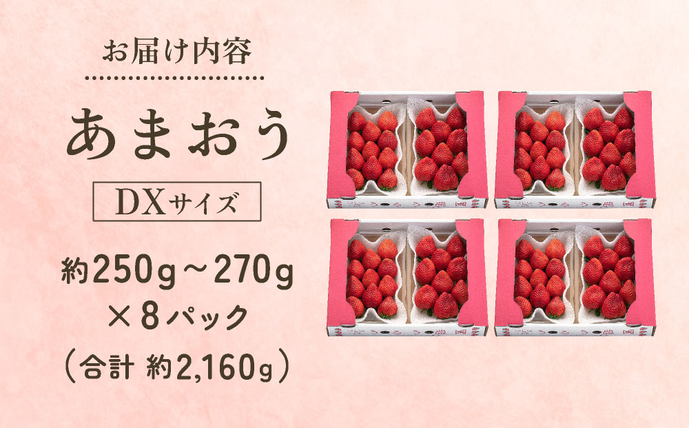 【2027年3月～4月発送】うるう農園のあまおうDX 約250g～270g×8P(約2160g)