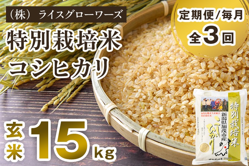 
                  【令和8年産新米先行予約】【定期便3回毎月お届け】特別栽培米 コシヒカリ 玄米15kg（5kg×3）《10月上旬～順次出荷》 従来品種コシヒカリ （株）ライスグローワーズ 新潟県 加茂市産 定期便
                