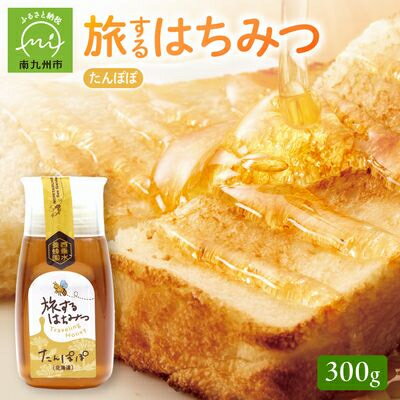 【ふるさと納税】旅するはちみつ300g【たんぽぽ蜂蜜】