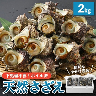 産地直送!天然さざえ ボイル済 2kg(500g × 4袋)【2024年6月10日以降順次発送】【配送不可地域：離島】【1465644】