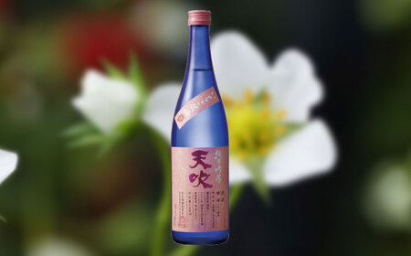 天吹 純米吟醸 いちご酵母 生 720ml×1本 / 純米吟醸 純米吟醸 純米吟醸 純米吟醸 純米吟醸 純米吟醸 純米吟醸 / 佐賀県 / 天吹酒造合資会社 [41ANCX009]