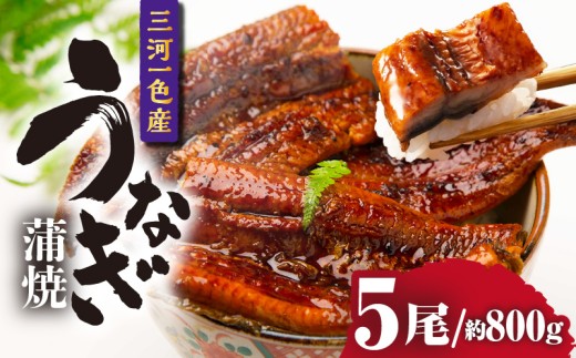 三河一色産うなぎ蒲焼 5尾（約800g）・O069