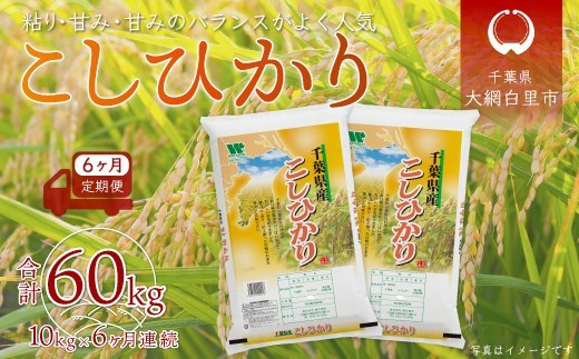 ＜6ヶ月定期便＞ 令和7年産  千葉県産「コシヒカリ」10kg×6ヶ月連続 計60kg ふるさと納税 米 定期便 10kg コシヒカリ 千葉県 大網白里市 送料無料 A028