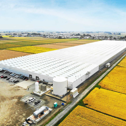 【令和７年産】 宮城県美里町産  ひとめぼれ 精米 5kg（5kg×１袋）【btfm001】