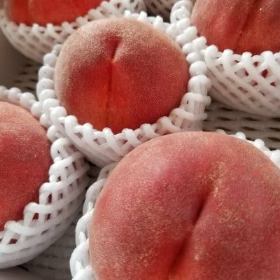 農家直送の桃　2kg【配送不可地域：離島】