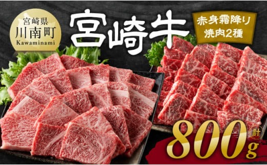 ※発送時期が選べる※宮崎牛赤身霜降り焼肉2種 800g 【 肉 牛肉 国産 宮崎県産 宮崎牛 黒毛和牛 和牛 焼肉 BBQ 4等級  A4ランク 肩ロース ウデ モモ 】 [E11124]