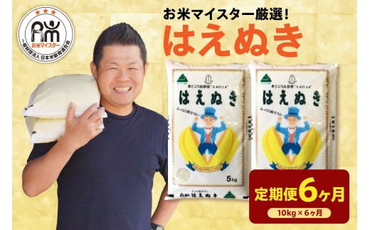 【6ヶ月定期便】 令和7年産 はえぬき 10kg ( 5kg × 2袋 ) × 6回 計60kg 2025年産 精米 米 白米 ブランド米 お米マイスター 厳選 送料無料 山形県 米沢市 お米 もちも