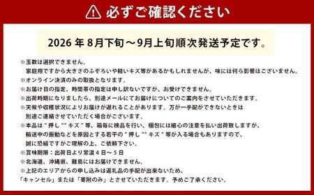 桃 2024年 先行予約 岡山 黄金桃 ご家庭用 約1.9kg 6～9玉入り もも モモ 岡山県産 国産 フルーツ 果物 直送！せとうちバスケット