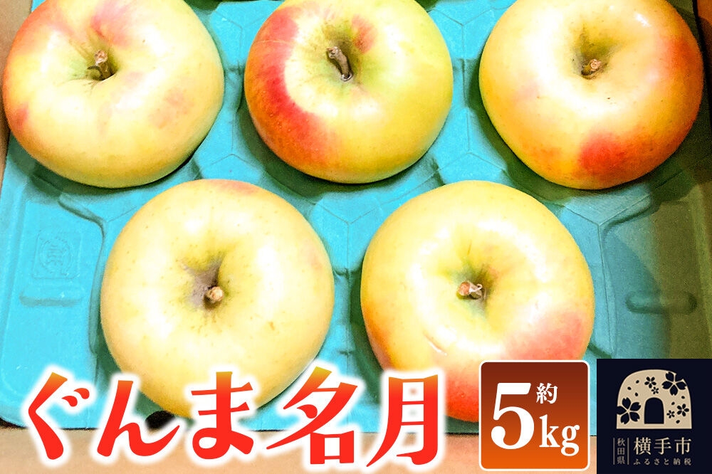 
                  【先行受付】11月上旬より発送 ぐんま名月 ご家庭用 約5kg りんご リンゴ 林檎 [先行予約 りんご 林檎 リンゴ 群馬名月 果物 フルーツ 横手産 秋田産 秋田県産]
                