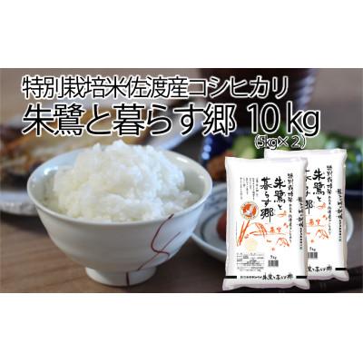 ふるさと納税 佐渡市 特別栽培米佐渡産コシヒカリ・朱鷺と暮らす郷10kg(5kg×2)