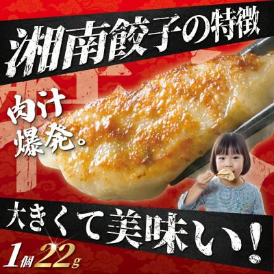 ふるさと納税 藤沢市 大新自慢の餃子(50個)と春巻き(10個)セット |  | 01