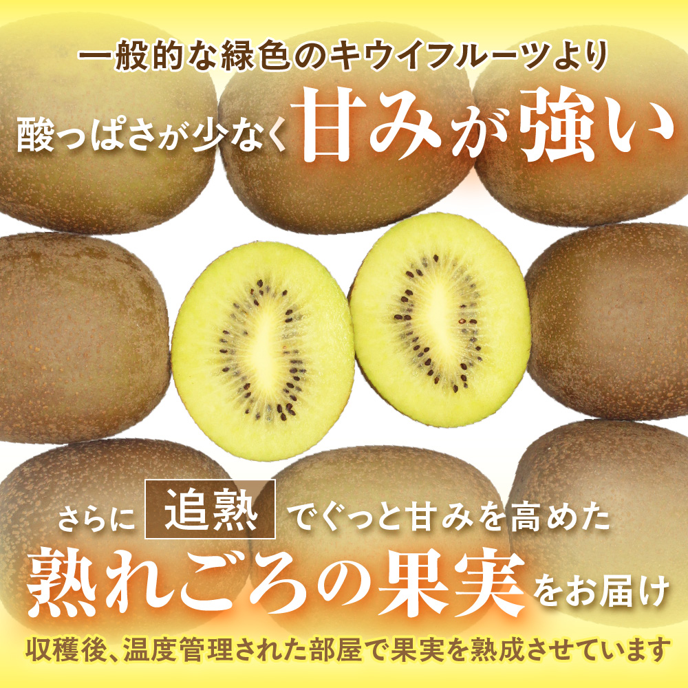 【ギフト】福岡県ブランド！キウイフルーツ「博多甘うぃ」約1.4kg化粧箱入り【ほたるの里】_HA0943
