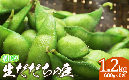 【令和7年産先行予約】【8月4日～10日発送】朝採り生だだちゃ豆 1.2kg(600g×2袋) 山形県鶴岡市産　鶴岡ファーマーズ