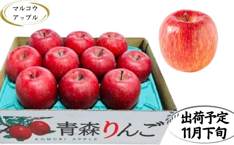
【11月下旬発送】 特A 濃厚サンふじ約3kg　糖度13度以上【青森りんご・マルコウアップル】
