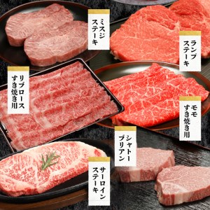 前沢牛定期便 シャトーブリアンが入った贅沢食べ比べ6カ月コース（全6回） [U0084]