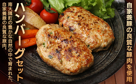 花の木農場 豚肉 ハンバーグ セット （100g×3個×6P） HK-4｜ 冷凍 ハンバーグ パック 豚肉 国産 ひき肉 お弁当 おかず 惣菜 手作り 農福連携 鹿児島県 南大隅町 花の木ファーム