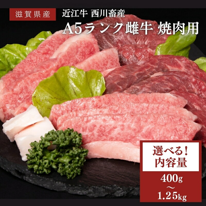 【ふるさと納税】〈選べる内容量〉近江牛 焼肉用 A5 雌牛 西川畜産 牛肉 黒毛和牛 焼き肉 焼肉 バーベキュー 肉 お肉 牛 和牛 ブランド牛　お届け：繁忙期に限り納期最長12ヶ月。納期指定不可