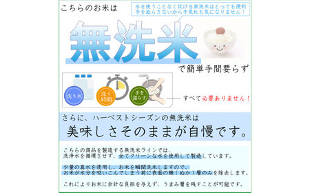 【美濃の希少種】 無洗米 はつしも 10kg (5kg×2袋) / 米 コメ こめ 無洗米 10kg むせんまい 岐阜県産 令和6年産 / 瑞浪市 / ハナノキ [AZBS003]
