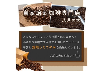 【アイスコーヒー用】自家焙煎アイスコーヒー用ブレンドコーヒー豆 500g（250g×2） 八月の犬ハウスブレンド 約50杯分　小分け　豆・粉 選べる