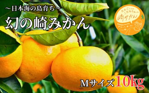 
            【期間限定】崎地区の崎みかん Mサイズ 10kg 期間限定 11月中旬より発送開始
          