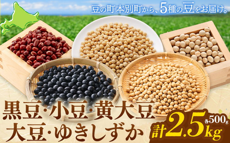 本別 豆 セット 各500g 5種類 2.5kg 特定非営利活動法人 銀河ほんべつ《30日以内に出荷予定(土日祝除く)》大豆 黒豆 小豆 ゆきしずか 黄大豆---hsh__30d_26_11500_2