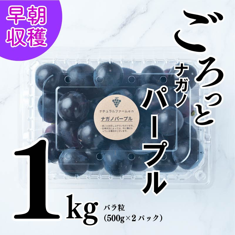 
            【2025収穫分先行予約】 ぶどう ナガノパープル 1kg バラ粒 500g 2パック 美味しい葡萄 小分け 新着 ブドウ 葡萄 人気 予約 フルーツ ブドウ1kg くだもの 甘いぶどう マスカット 早朝 松山市産ぶどう 収穫 ながのぱーぷる 朝採れ ギフト 贈答 期間限定 愛媛県産ブドウ 2024年発送 先行予約 ※2025/8/10頃～発送予定 ナチュラルファームｅｎ
          