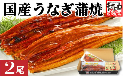 
[001-a009] ふっくら焼き上げ！国産うなぎ蒲焼き2尾セット【増米 ますよね うなぎ ウナギ 鰻 化粧箱入り ギフト 贈答 贈り物 プレゼント のし 熨斗 冷凍 蒲焼 かば焼き ふんわり ふっくら仕上げ】
