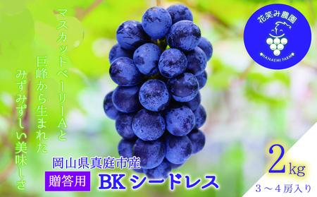 【2616-0444】岡山 花笑み農園『BKシードレス』約2kg贈答用(3房から4房) B-2上
