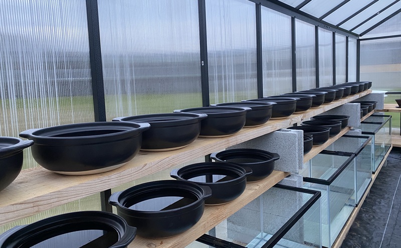 【小豆島】小豆島製塩所ENSOUが手がける完全天日塩 満月・新月セット(各90g) 塩 天日塩 完全天日塩 調味料 国産