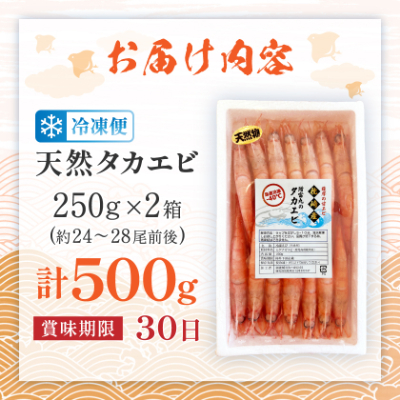 【薩摩の甘エビ】天然タカエビ500g　A1-10【配送不可地域：離島】