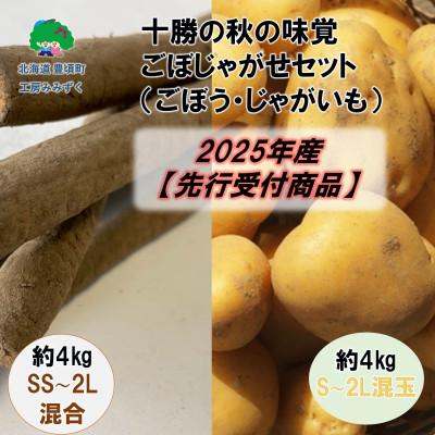 ふるさと納税 豊頃町 十勝の秋の味覚「ごぼじゃがセット」(ごぼう約4kg・じゃがいも約4kg【2025年産】(先行受付)