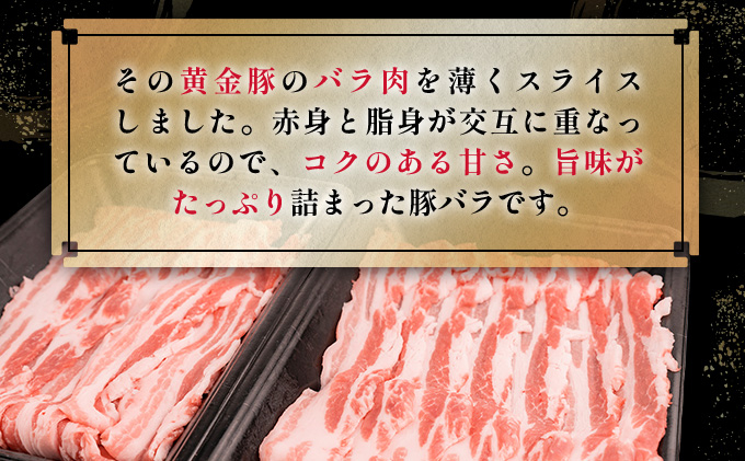 ＜8月発送＞北海道 黄金豚 豚バラ スライス 300g 6パック 計1.8kg 国産 三元豚 ブランド豚 豚肉 バラ肉 冷凍 お肉 小分け 薄切り 肉料理 鍋料理 炒め物 大矢 オオヤミート 送料無料