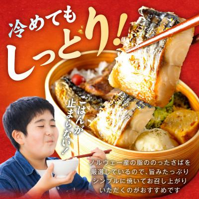 ふるさと納税 泉佐野市 お手軽 訳アリ塩サバ500g 099H4469 |  | 01