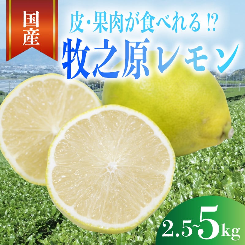 
            【事前受付】レモン 2~5kg  選べる 内容量 れもん 檸檬 Lemon 柑橘類 柑橘 フルーツ 果物 酸っぱい 果肉 酸味 甘み 璃の香 防腐剤不使用 牧之原レモン 静岡県 牧之原市 果肉食べられる 自宅用 贈答品 レモンスカッシュ レモンパウンドケーキ レモンサワー くだもの 家庭用 静岡県産 農家直送 産地直送 産直 ビタミン ビタミンC クエン酸 グリーンレモン イエローレモン おすすめ
          