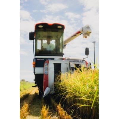 ふるさと納税 筑前町 【新米 農家直送】令和7年産 久保山百年米 玄米10kg【5kg×2袋】夢つくし/元気つくし |  | 03