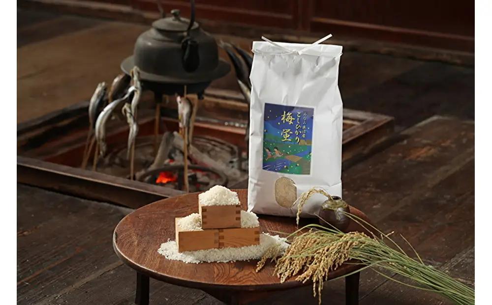 【令和8年産新米予約】2026年度産南魚沼市産コシヒカリ「梅蛍」5kg×全12回　【定期便 銘柄米 ブランド米 精米 こしひかり コシヒカリ 魚沼産 新潟米 産地直送 お米 米 こめ コメ】【2026年10月上旬より1ヶ月以内に順次発送予定】