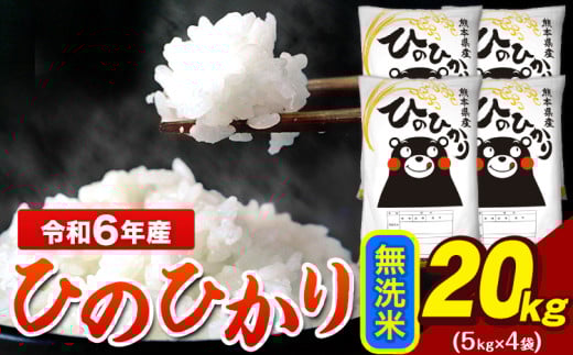 令和6年産 ひのひかり 無洗米 20kg 《7-14営業日以内に出荷予定(土日祝除く)》 5kg×4袋 熊本県産（荒尾市産含む） 米 精米 ひの
