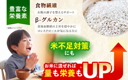 【全12回定期便】押麦500g（1等麦使用）【葦農】 HAJ039 