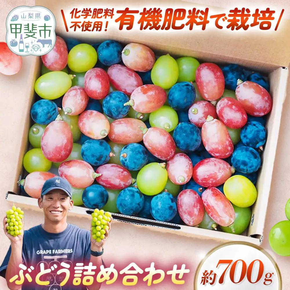 かめざわ農園がお届けする旬の彩り 粒ぶどう 詰め合わせ（約700g） 山梨県甲斐市産ぶどう 
