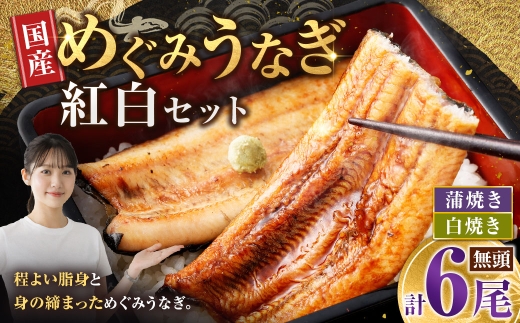【7月13日までの入金確認で土用の丑の日までにお届け】めぐみうなぎ 紅白 6尾セット うなぎ 鰻 ウナギ 魚類 うな重 うな丼 晩ごはん 惣菜 おかず 贅沢 冷凍 国産 大阪府産 養殖 無投薬
