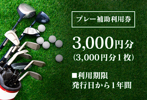 ゴルフ 補助券 千代田ゴルフ倶楽部 優待 プレー 補助利用券 3,000円分