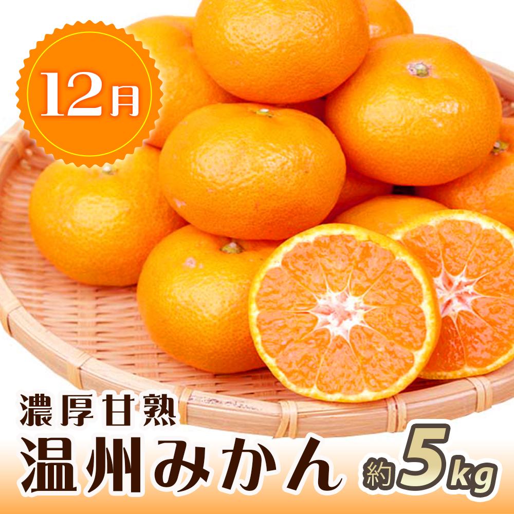 【2・7・12月 全3回】紀州和歌山産旬のフルーツセット（いちご・桃・有田みかん）定期便 【魚鶴商店】【UT70】XF91139_イメージ4