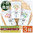 【ふるさと納税】お茶 ティーバッグ 3種セット (釜炒り茶、和紅茶、発酵いちょう葉紅茶・各12個) お茶 緑茶 紅茶 茶 茶葉 釜炒り茶 日本茶 セット 詰め合わせ 大分県 佐伯市 【ES03】【小野農園】