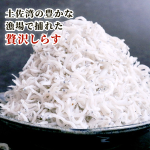 【土佐湾からの贈りもの】しらす干し1.5kg（250g×6パック）