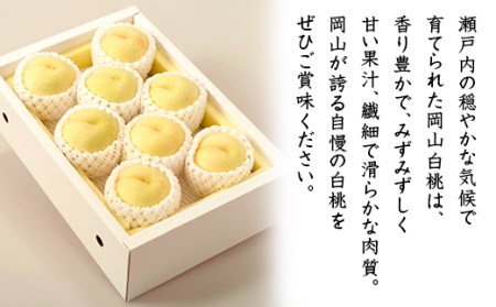 74-10 白桃8～10玉（2kg以上）【2026年7月上旬～8月上旬頃発送予定】