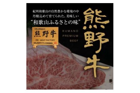 特選黒毛和牛 熊野牛 焼肉用ロース　約500g【mtf410】