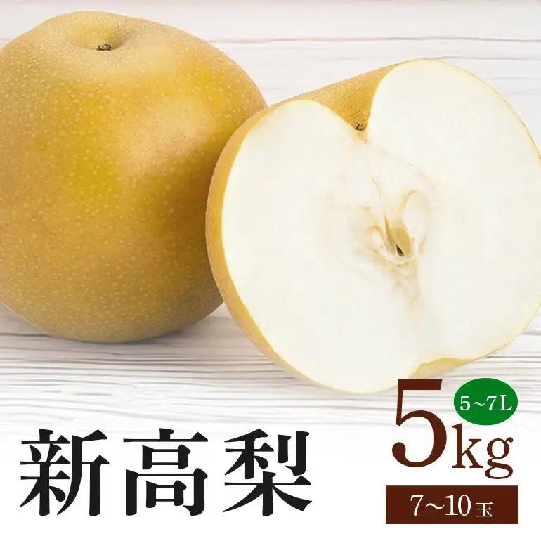 新高梨 箱込約 5kg（JA新ひたち野）梨 約 7玉 ～ 10玉 (B01-011)