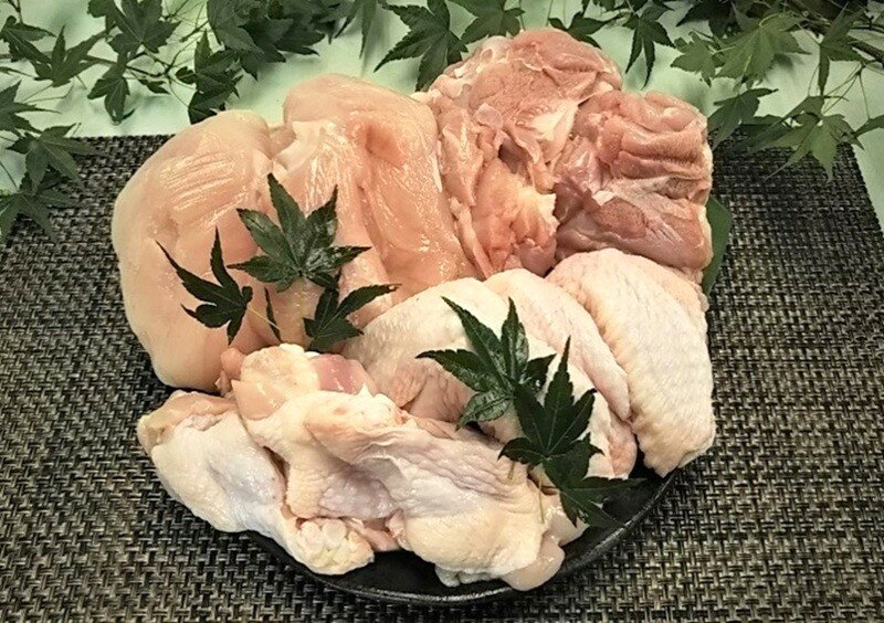【ふるさと納税】静岡県産銘柄鶏 「富士の鶏」 正肉 (もも肉・むね肉 各2枚) & 手羽 (手羽先・手羽元 各4本) セット　鶏肉 冷凍 送料無料 静岡県 富士宮市