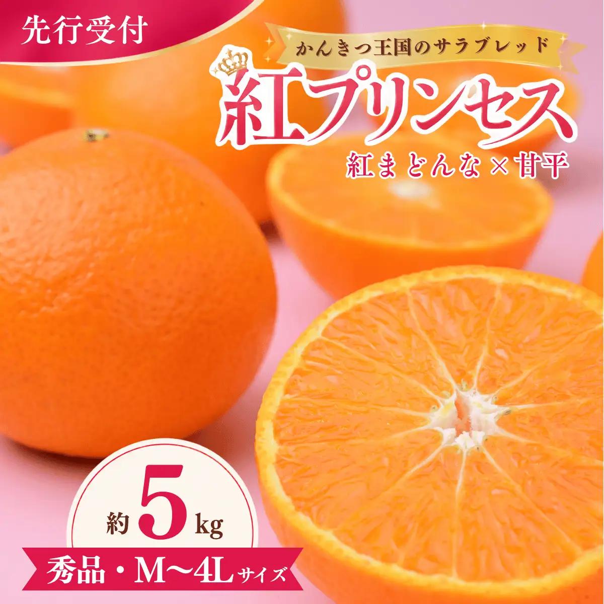 紅プリンセス【先行受付】 5kg 秀 M～４Lサイズ みかん